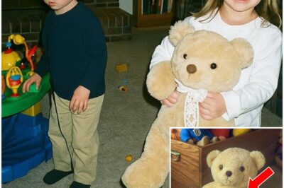 Girl Vanished From Her Living Room in 1998 — 16 Years Later Her Brother Cuts Open Her Teddy Bear…