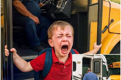 Boy Refused to Use School Bus, One Day Mom Had Enough and Secretly Followed Behind…