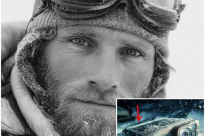 Everest 2010 Expedition Vanish — Case Closed After 10 Years, Horrifying Footage Revealed