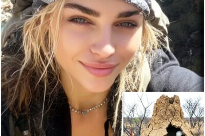 Hiker Vanished in Arizona — 7 Years Later Found As PART OF A GIANT TERMITE MOUND…