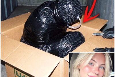 Model Vanished in LA — THIS Was Found Inside a U-Haul Box in a Storage Unit, WRAPPED IN BUBBLE WRAP