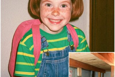 Girl Vanished Walking to School, 8 Years Later Electricians Find This in a Crawlspace…