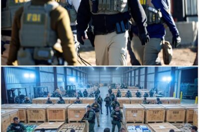 784 Crates Seized as FBI & ICE Uncover $146M Network Behind Erased Verdict