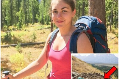 Young Hiker Vanished on Grand Teton, 11 Months Later Ranger Finds This Inside Eagle’s Nest…