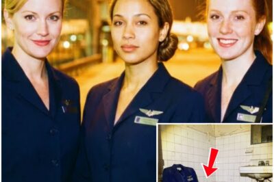 Three Flight Attendants Vanished From a Vegas Hotel in 1996 — 28 Years Later a Hidden Wall Is Opened