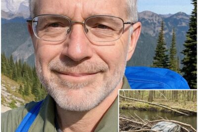 Retired Doctor Vanished from Mount Rainier, 4 Years Later They Find This in a Beaver Dam…