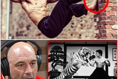 No One Believed These Bruce Lee Stories! Until They Watched This
