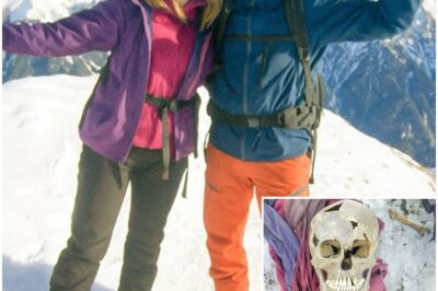 Couple Vanished Climbing in Alps, 20 Years Later an Avalanche Reveals Shocking Evidence……