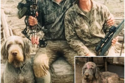 Couple Went Hunting and Vanished — 2 Years Later Their Dog Returns…