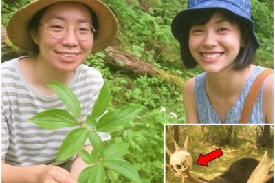 Female Botanists Vanished in Alaska, 9 Years Later This Is Found Stuck to a Moose’s Antlers…