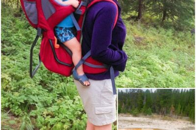 Mom and Toddler Vanished in Rockies, 6 Years Later What Was Found Still Haunts Locals…