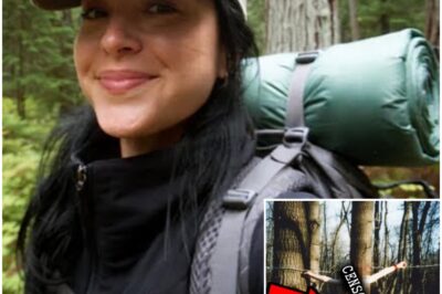 Missing Woman’s Desperate Fight for Survival — Discovered Bound, Her Words Changed Everything