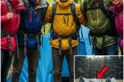 They Vanished Camping in the Woods — 4 Years Later, A Hunter Stumbled on THIS