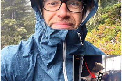 Tourist Vanished in Oregon Woods — 11 Years Later His Body Was Found Inside a TAXIDERMY BEAR.
