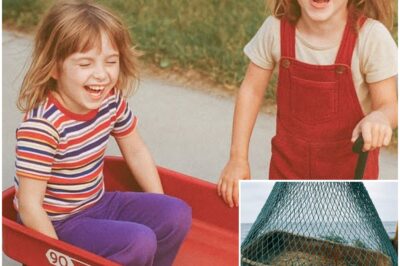 Sisters Vanished Playing Outside in 1985 — 15 Years Later Fisherman Pulls This From Sea…