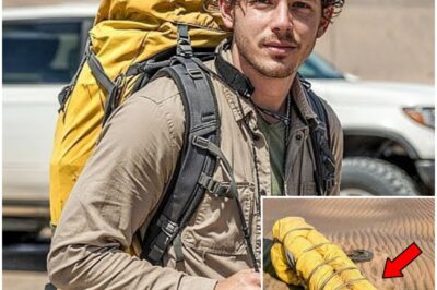 He Vanished From the Sahara, 6 Years Later a Desert Explorer Did This After a Chilling Discovery