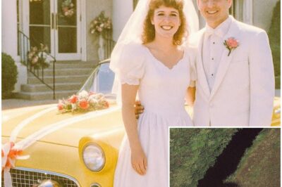 Couple Vanished After Their Wedding in 1985 — 12 Years Later a Satellite Image Reveals This…