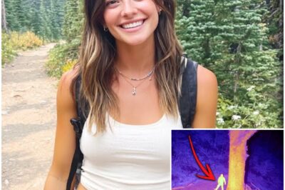 Girl Vanished In California – 4 Months Later A Thermal Drone Captures THIS…