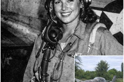 Fighter Pilot Vanished in 1944 — 70 Years Later, Her Plane Was Found Abandoned in a Forest…