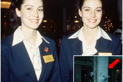 Two flight attendants disappeared on Christmas Eve—secret chambers revealed what happened to them…..