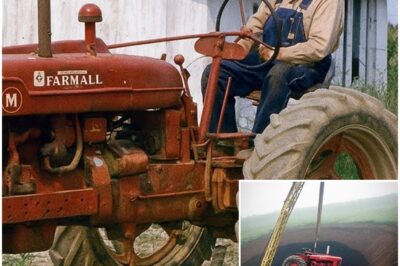 Farmer Vanished in 1996 — 15 Years Later, His Family Made a Shocking Discovery…