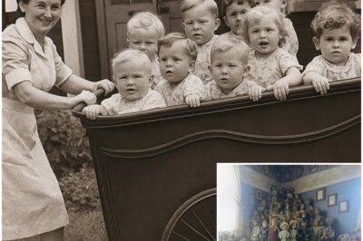 Entire Orphanage Vanished in 1968 — 40 Years Later, a Hidden Room Shocked Investigators…