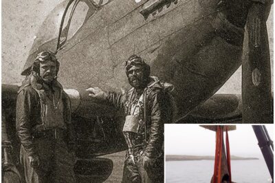 Pilots Vanished During a Secret Operation in WW2 — 50 Years Later, Navy Pulled This From the Ocean…