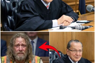 Single Dad With 3 Jobs Fined $5,000… Until Judge Caprio Asks About His Lunch Break