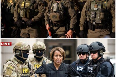 ICE & FBI Raid Somali Law Firm in Minneapolis — 400 Arrests, 28 Dirty Cops & $50M Fentanyl SEIZED