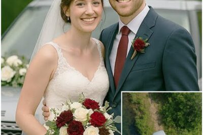 The Couple Went Missing Right After Their Wedding 14 Years Later, A Satellite Image Uncovered This