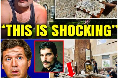 What They Found in Freddie Mercury’s London Home Shocked His Closest Friends